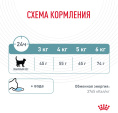 Сухой корм для кошек Royal Canin Hairball Care (0,4 кг)