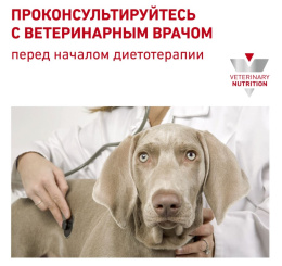 Сухой корм для собак Royal Canin Skin Support