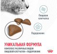 Сухой корм для кошек Royal Canin Hairball Care (0,4 кг)
