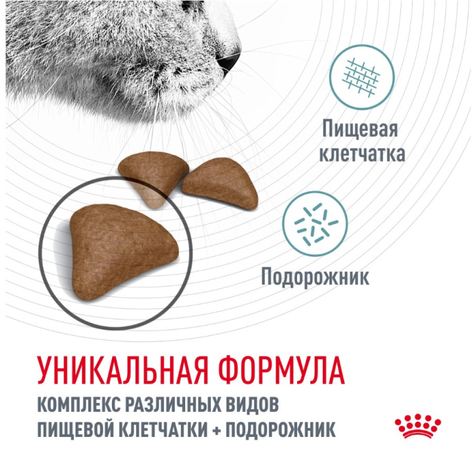 Сухой корм для кошек Royal Canin Hairball Care (0,4 кг)