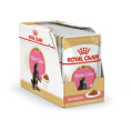 Влажный корм для котят Royal Canin Kitten Maine Coon (соус) (85 гр*12 шт)