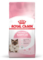 Сухой корм для кошек Royal Canin Mother&Babycat (0,4 кг)