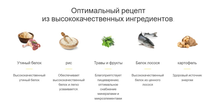 Сухой корм для щенков мини пород Josera MiniJunior (10 кг)