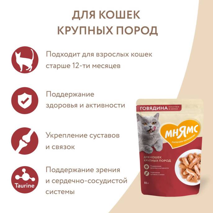 Влажный корм Мнямс Кусочки в соусе с говядиной для крупных кошек (85 гр.)