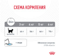 Сухой корм для кошек Royal Canin Dental Cat (0,4 кг)