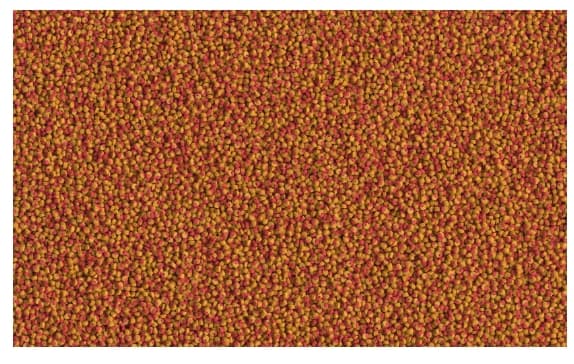 Корм для небольших цихлид Tetra Cichlid Colour Mini