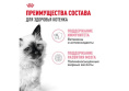 Влажный корм для котят Royal Canin Kitten Instinctive (в соусе) (28х85 гр.)