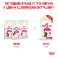 Корм сухой для привередливых кошек Royal Canin Fussy (0,4 кг)