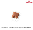 Сухой корм для собак Royal Canin Jack Russell Adult (1,5 кг)