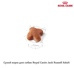 Сухой корм для собак Royal Canin Jack Russell Adult