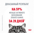Сухой корм для кошек Royal Canin Dental Cat (0,4 кг)