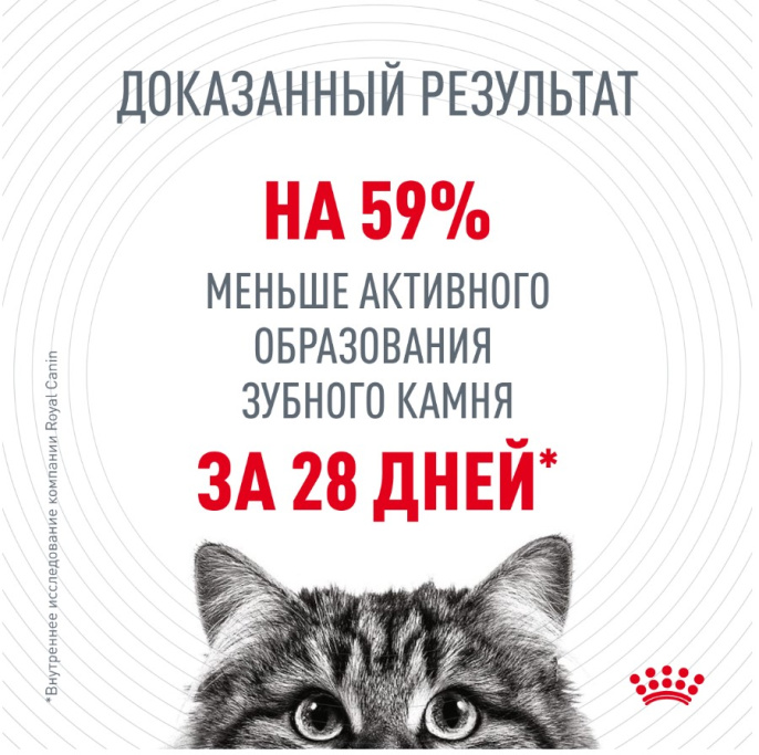 Сухой корм для кошек Royal Canin Dental Cat (0,4 кг)