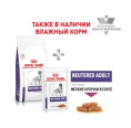 Сухой корм для собак Royal Canin Neutered Adult Medium Dog (9 кг)