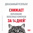 Сухой корм для кошек Royal Canin Hairball Care (0,4 кг)