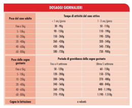 Сухой корм для собак Dog&Dog Expert Energy Adult All Breeds