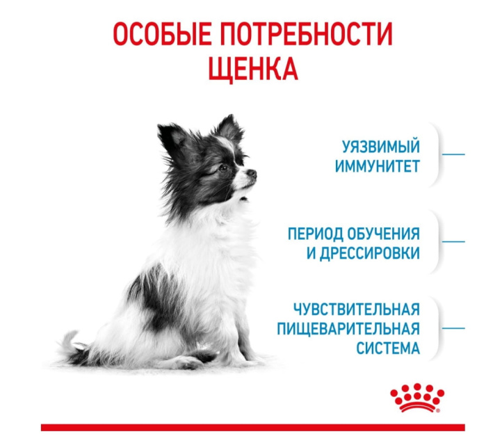 Сухой корм для щенков Royal Canin X-Small Puppy (0,5 кг)