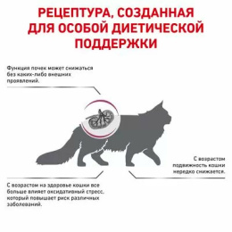 Сухой корм для кошек Royal Canin Early Renal Cat