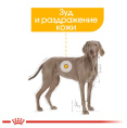 Сухой корм для собак Royal Canin Maxi Dermacomfort (10 кг)