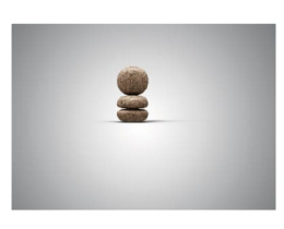 Сухой корм для щенков мини пород Josera MiniJunior