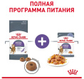 Влажный корм для кошек Royal Canin Appetite Control Care (желе) (85 гр*12 шт)