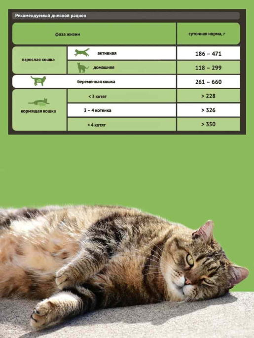 Влажный корм для кошек ProBalance Sensitive Cat (85 гр.)