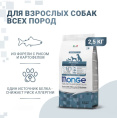 Сухой корм для собак Monge Dog Monoprotein Adult All Breeds (форель, рис) (2,5 кг)