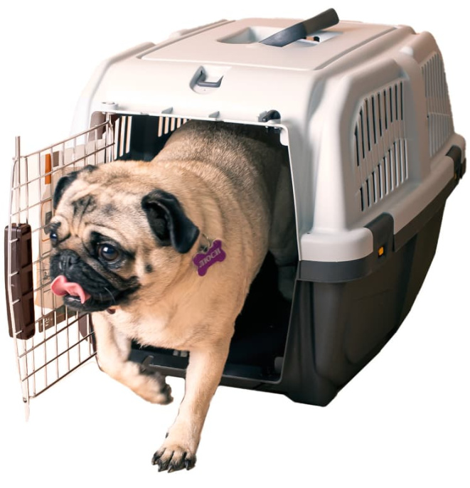 Переноска для собак MPS SKUDO (SKUDO 3  60х41х40h см)