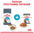 Влажный корм для кошек Royal Canin Urinary Care (соус) (85 гр*12 шт)