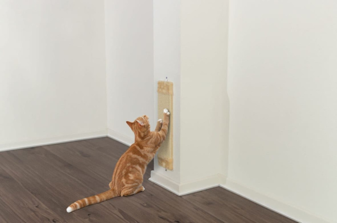 Когтеточка для кошек TRIXIE Sisal, бежевый (15х56 см)