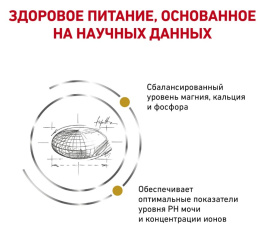 Сухой корм для кошек Royal Canin Urinary S/O Cat