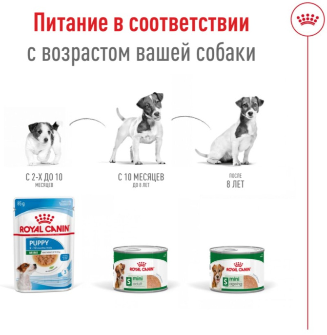 Паштет для собак Royal Canin Mini Adult (195 гр.)
