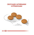 Сухой корм для собак Royal Canin Mini Dermacomfort (1 кг)