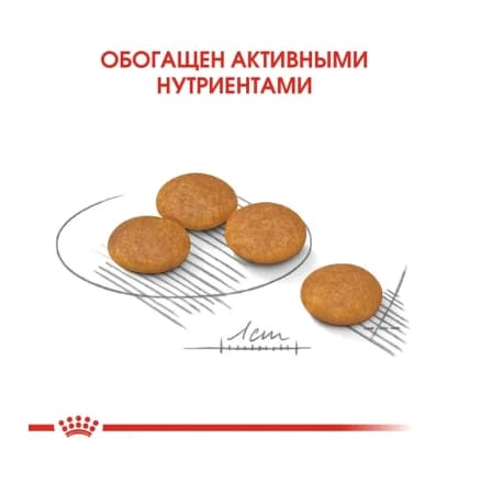 Сухой корм для собак Royal Canin Mini Dermacomfort (1 кг)