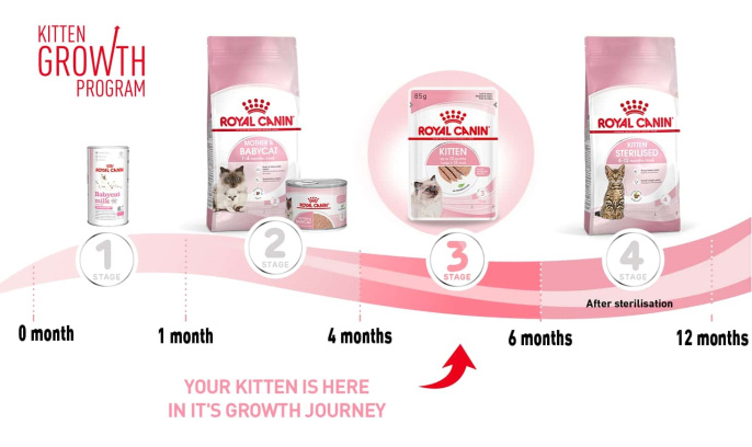 Паштет для котят Royal Canin Kitten Loaf (85 гр*12 шт)