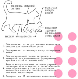 Сухой корм для кошек и котят AJO Basic Line Kitten&Mom