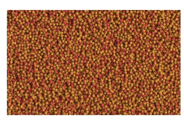 Корм для всех видов цихлид Tetra Cichlid Colour Pellets