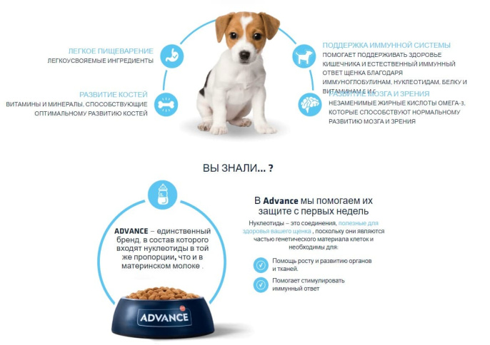 Сухой корм для щенков мини пород Advance Dog Mini Puppy Protect (курица) (3 кг)