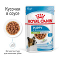 Влажный корм для щенков мелких пород Royal Canin X-Small Puppy (соус) (85 гр*12 шт)
