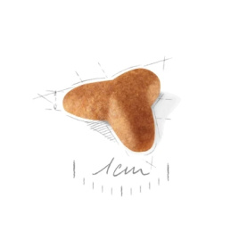 Сухой корм для щенков Royal Canin Pug Puppy