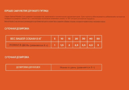 Лососевое масло NECON SALMOIL RICETTA 4