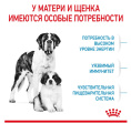 Сухой корм для щенков Royal Canin Giant Starter (15 кг)