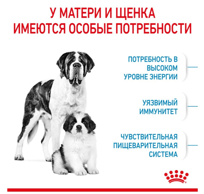 Сухой корм для щенков Royal Canin Giant Starter (15 кг)