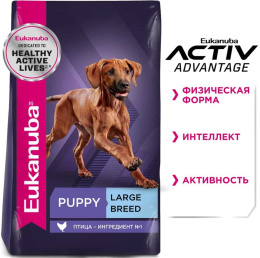 Сухой корм для щенков Eukanuba Puppy Large Breed (птица)
