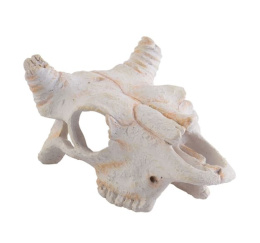Убежище-декор Череп буйвола 12х8х5.5 см. PT2925 (H229258)