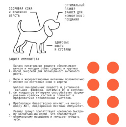 Сухой корм для щенков средних и крупных пород AJO Basic Line Medium&Maxi Puppy&Junior