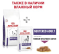 Сухой корм для собак Royal Canin Neutered Adult Small Dog (0,8 кг)