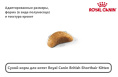 Сухой корм для котят Royal Canin British Shorthair Kitten (0,4 кг)