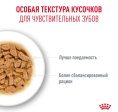 Влажный корм для очень пожилых кошек Royal Canin Ageing 15+ (85гр.х12 шт)