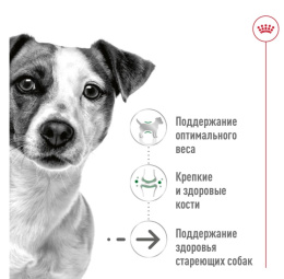 Влажный корм для собак Royal Canin Mini Ageing (паштет)