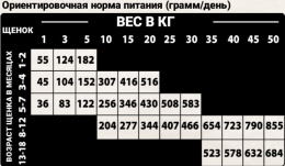 Сухой корм для собак Natural Woodland Country Diet All Age (индейка, курица)